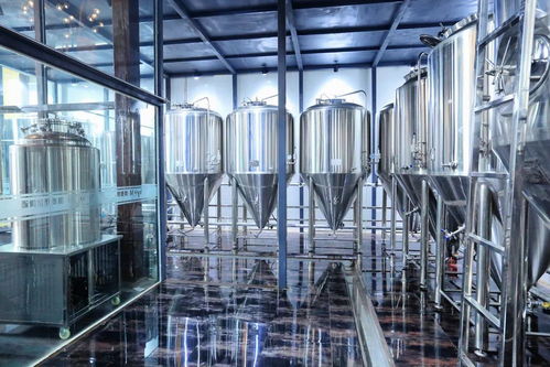 travel 美食之旅丨靈秀山水,詩(shī)意山東 青島